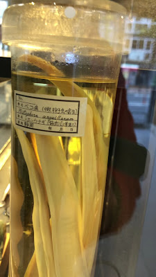 메구로기생충관 사진 2