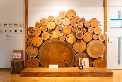 Wood & Plywood Museum 사진 3