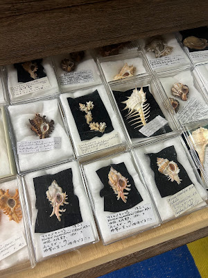 Chiisanakaino Museum 사진 2