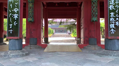 조죠지 사진 2