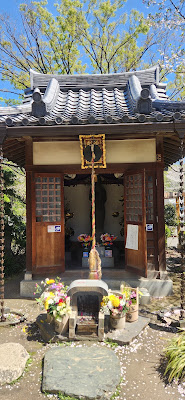 안국전 사진 5