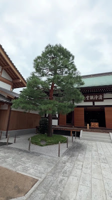 엔엔 절 사진 2