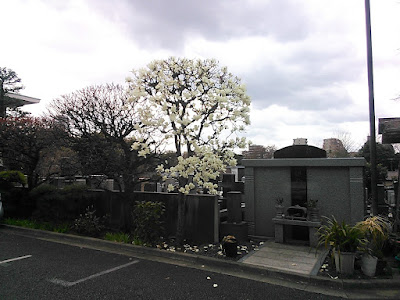 Sozenji 사진 3