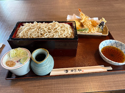 Tanaka 사진 4