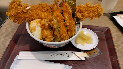 카네코한노스케 오다이바 사진 2
