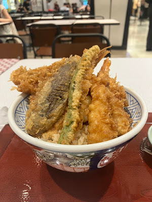 카네코한노스케 오다이바 사진 5