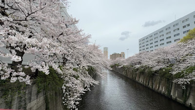 나카메구로 공원 사진 2