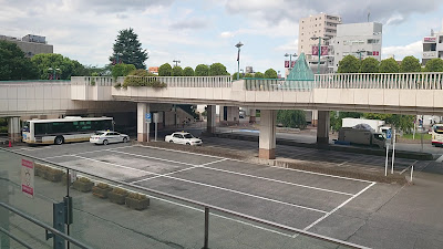 코코네리 사진 2