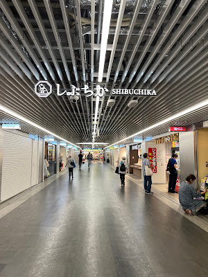 Shibuchika (Underground shopping malls) 사진 5