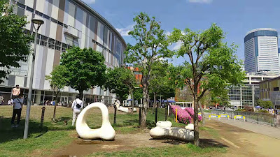 어번 독 라라포트 토요스 사진 2