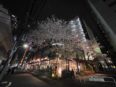 21 Roppongi Building 사진 3