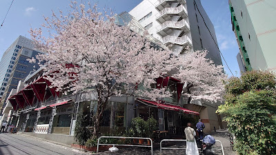 21 Roppongi Building 사진 4