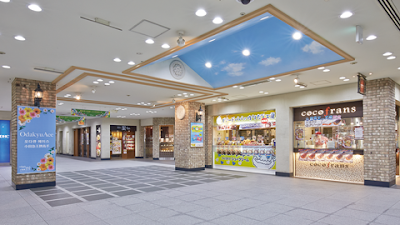 Odakyu Ace 사진 3