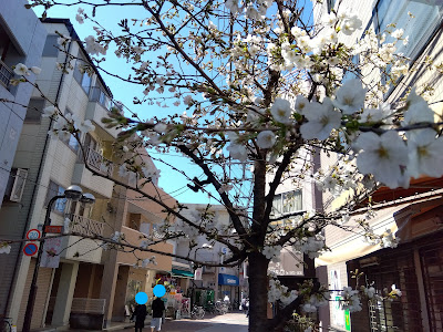 染井銀座商店街 사진 5