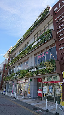 BiVi YASHIO 사진 4