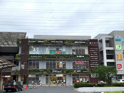 BiVi YASHIO 사진 2