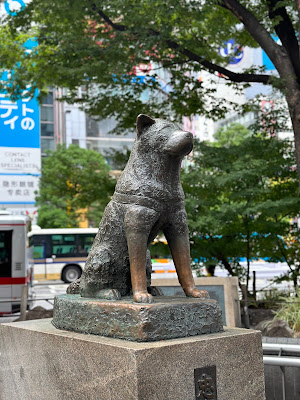 Shibuya Crossing 사진 3
