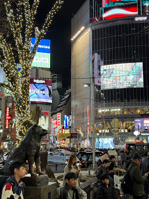 Shibuya Crossing 사진 4