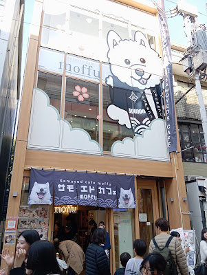 HARAJUKU VILLAGE 사진 3
