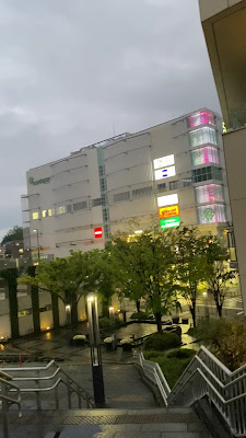요츠바코 사진 2