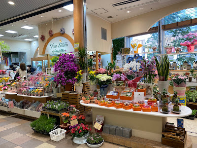 NOCTY Plaza 1 사진 3