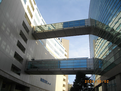 NOCTY Plaza 2 사진 4