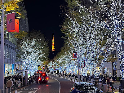 Roppongi Hills Keyakizaka Terrace 사진 3