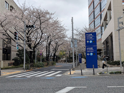 Roppongi Hills Keyakizaka Terrace 사진 2