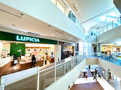 LUPICIA 사진 5