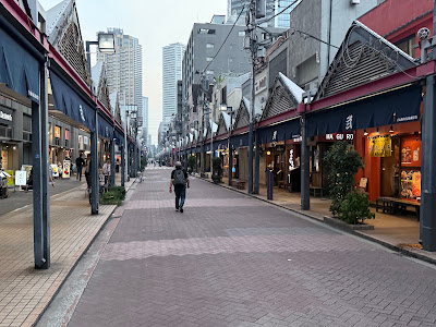 Tsukinaka Nishinaka-dōri 4th Street 사진 3