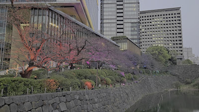 Tokyo Garden Terrace 사진 2