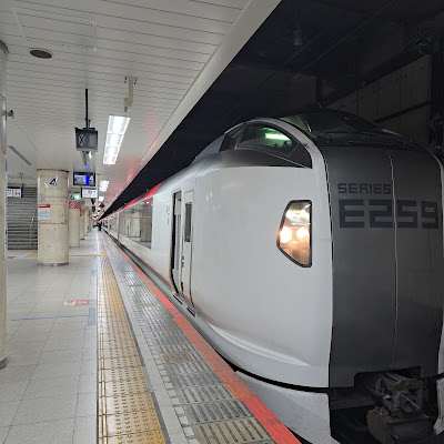 Tokyo Station 사진 5