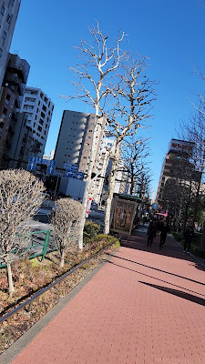 Tornare Nihonbashi Hamacho 사진 3