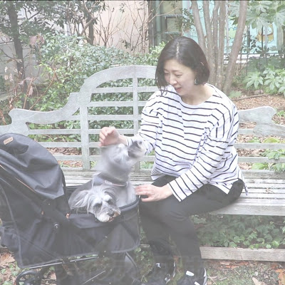 펫 파라다이스 사진 2