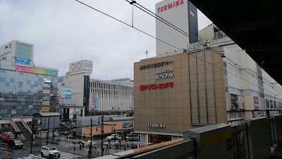 테르미나 사진 2