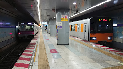 긴시초 사진 4