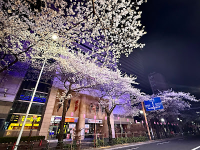 Nakano Sun Cuore Tower 사진 3