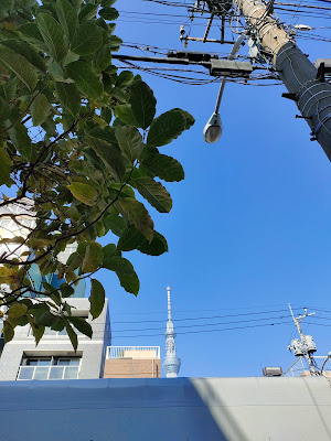 太平町ビル 사진 2