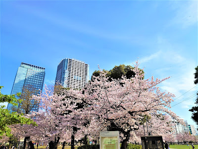 Brillia Tower Tokyo 사진 4