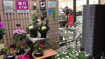 Daiei Koishikawa 사진 2