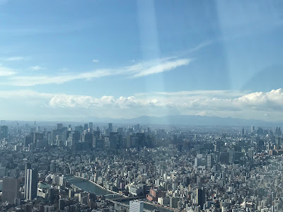 Tokyo Sky Tree East Tower 사진 3