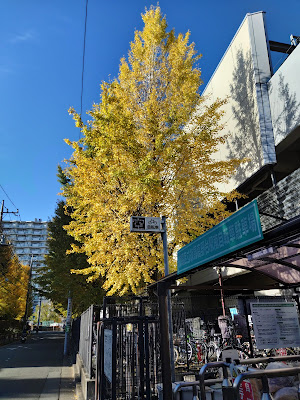 Emio Nerima Takanodai 사진 3