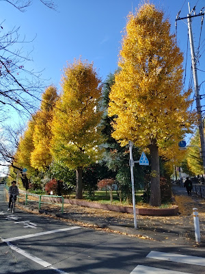 Emio Nerima Takanodai 사진 5