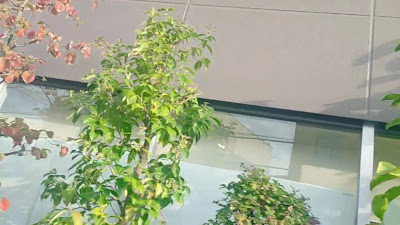 Hulic Shimura Sakaue Shopping Centre 사진 2