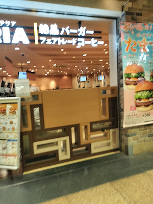 Odakyu Ace South 사진 4