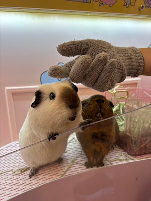 Harajuku Kawaii Land Kyun Kyun Animal Petting 사진 3