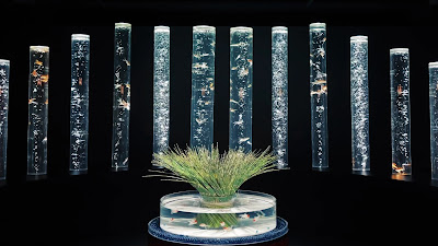 ART AQUARIUM MUSEUM 사진 2