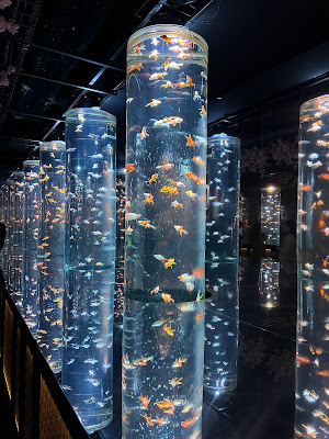 ART AQUARIUM MUSEUM 사진 4