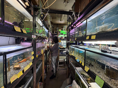 新城水族館 사진 2