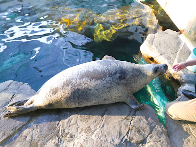 Seal House 사진 3
